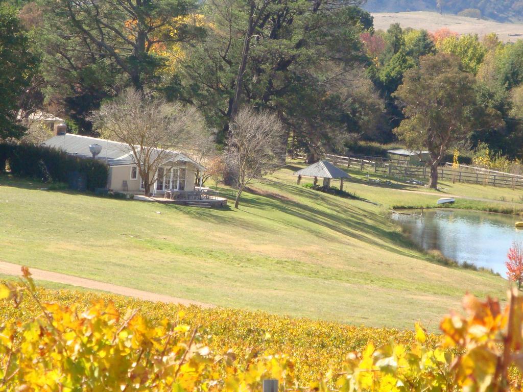 Mayfield Vineyard Orange Exteriör bild